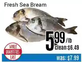 Nations Fresh Foods Fresh sea bream offer