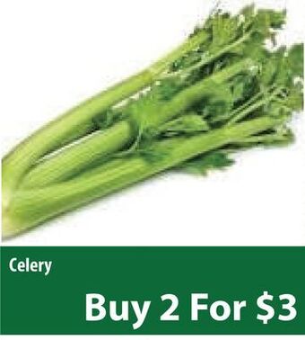 Healthy Planet Celery offer