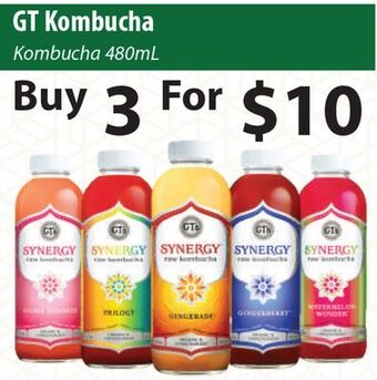 Healthy Planet Gt kombucha offer