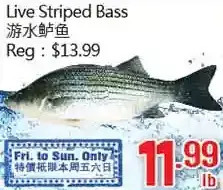 Hong Tai Supermarket Live striped bass offer