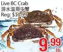 Hong Tai Supermarket Live bc crab offer