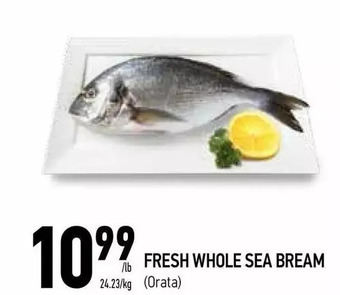 Coppa's Fresh Market Fresh whole sea bream offer
