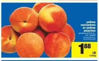 Real Canadian Superstore Yellow nectarines offer