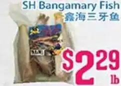 Grant's Foodmart SH Bangamary Fish offer