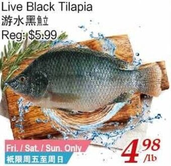 Tone Tai Supermarket Live Black Tilapia offer