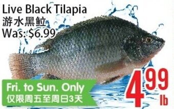 Bestco Food Mart Live Black Tilapia offer
