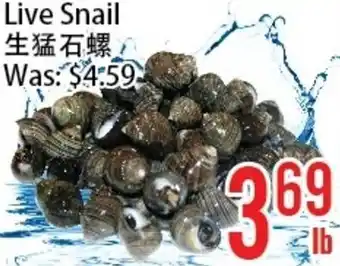 Bestco Food Mart Live Snail offer