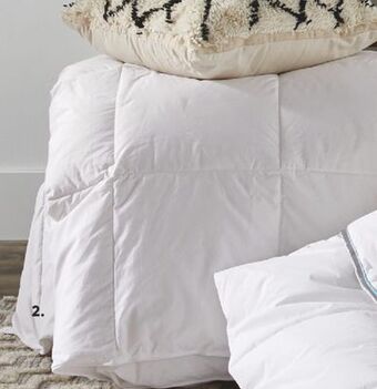 Sleep Country Premium white down duvet offer