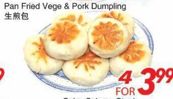 Foody World Pan Fried Vege & Pork Dumpling offer