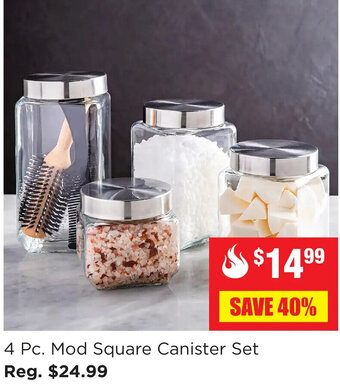 Kitchen Stuff Plus 4 Pc. Mod Square Canister Set offer