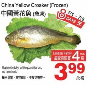 T&T Supermarket China yellow croaker offer