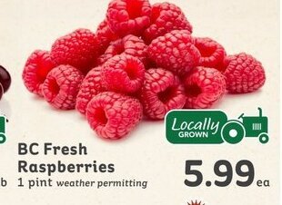 IGA BC fresh raspberries offer
