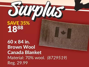 Princess Auto 60 x 84 in. brown wool canada blanket offer