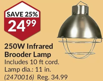 Princess Auto 250w infrared brooder lamp offer