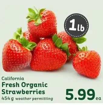 IGA Fresh Organic Strawberries offer