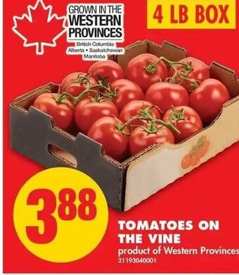 No Frills Tomatoes on the Vine offer
