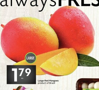 Sobeys Large Red Mangoes offer