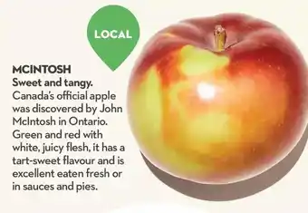 Longo's Mcintosh sweet and tangy apples offer
