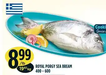 Marché Adonis Royal progy sea bream offer