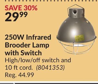 Princess Auto 250w infrared brooder lamp with switch offer