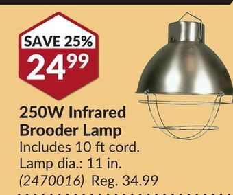 Princess Auto Canarm® 250w infrared brooder lamp offer
