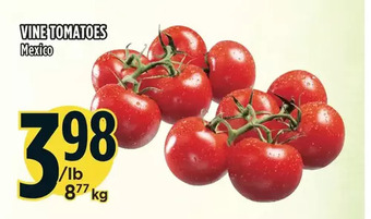 Marché Adonis Vine tomatoes offer