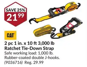 Princess Auto 2 pc 1 in. x 10 ft3,000 lb ratchet tie-down strap offer