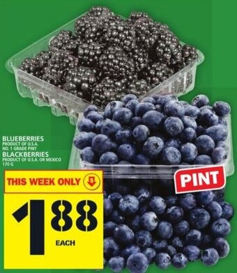 Food Basics Blueberries offer