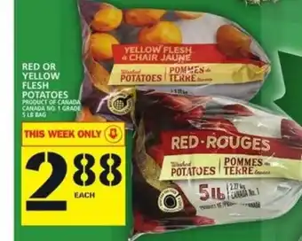 Food Basics Red or Yellow Flesh Potatoes offer