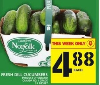 Food Basics Fresh Dill Cucumbers offer