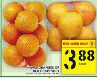 Food Basics Navel Oranges or Red Grapefruit offer