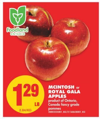 No Frills Mcintosh or royal gala apples offer