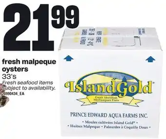 Loblaws Fresh malpeque oysters, 33's offer