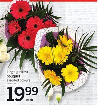 Fortinos Large gerbera bouquet offer