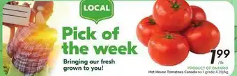 Sobeys Hot house tomatoes canada offer