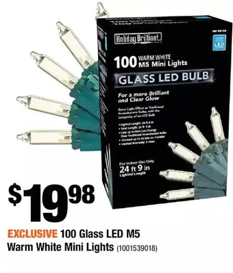 Home Depot 100 glass led m5 warm white mini lights offer
