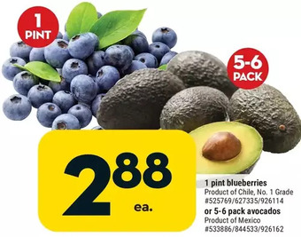 Giant Tiger 1 pint blueberries offer
