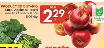 Foodland Local apples offer