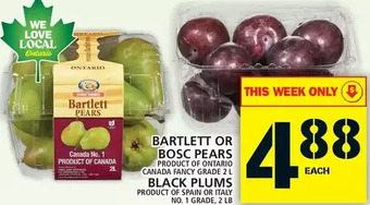Food Basics Bartlett or bosc pears | black plums offer