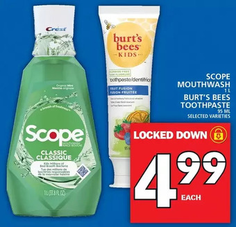 Food Basics Scope mouthwash | burt's bees toothpaste offer