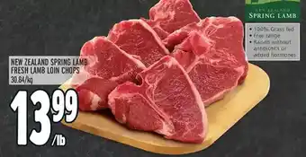 Metro New zealand spring lamb fresh lamb loin chops offer