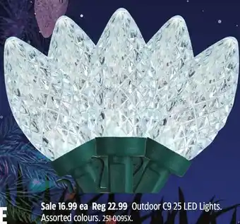 Canadian Tire Noma outdoor c9 25 led lights assorted colours offer