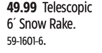 Canadian Tire Garant telescopic 6´ snow rake offer