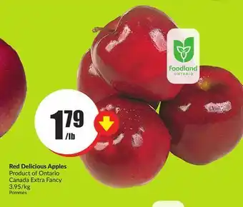 Chalo FreshCo Red delicious apples product of ontario canada extra fancy 3.95/kg offer