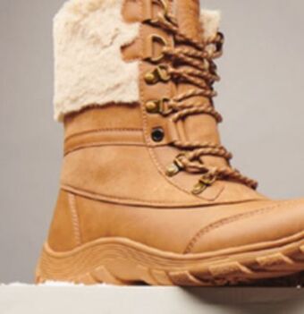 Giant Tiger Mountain ridge winter boots offer