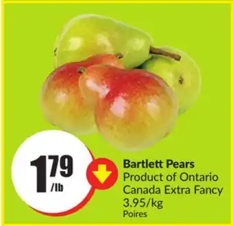 FreshCo Bartlett pears product of ontario canada extra fancy 3.95/kg offer