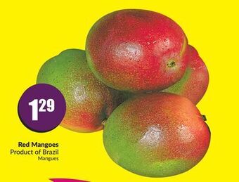 FreshCo Red mangoes product of brazil offer