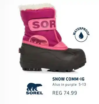 Globo Snow comm-ig offer