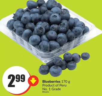 FreshCo Blueberries offer
