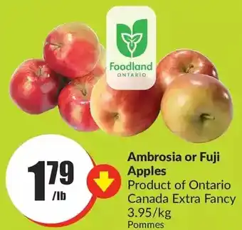 FreshCo Ambrosia or fuji apples offer